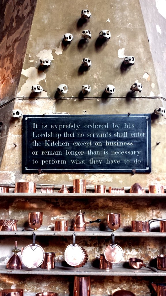 Här bestämmer lorden - annars blir du skalperad...eller är det kanske sköldpaddorna?