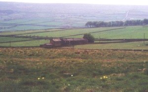 Hedar och hagar i Haworth