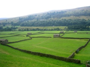 Hölador i Gunnerside