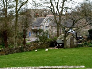 Ankor och stugor om vartannat.