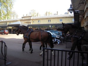 Det gäller att se upp när man rör sig på Royal Mews