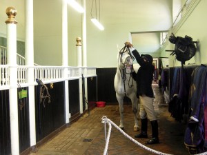 En familjär syn för hästmänniskor.