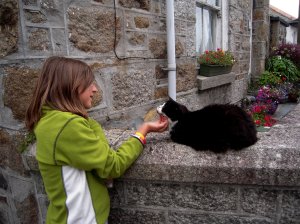 The Mousehole Cat