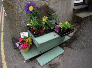 Ta med en blomma hem.