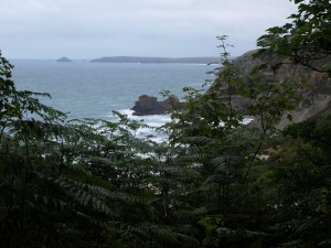 Milsvid utsikt upp mot Newquay.