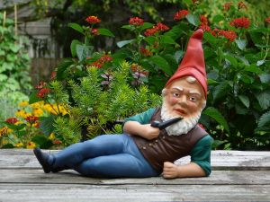 gnome