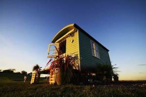 Bo som en fåraherde