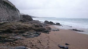 Bläckfiskben i massor lyser på stranden.