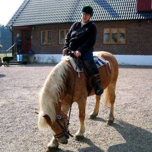 Jag och en haflingerkompis hemma i Skåne.