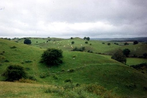 Worcestershire? Nej, Brösarps Backar