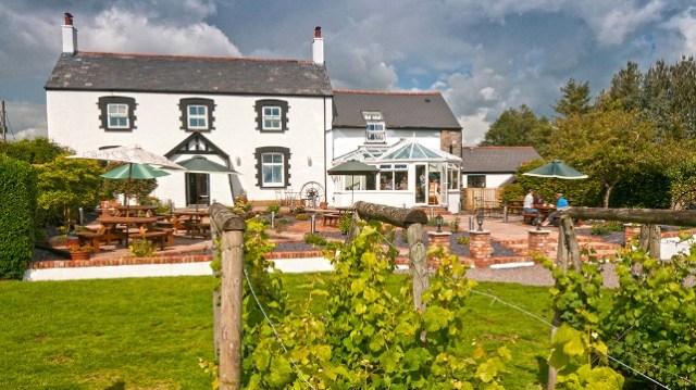 Llanerch   Foto: Visit Wales