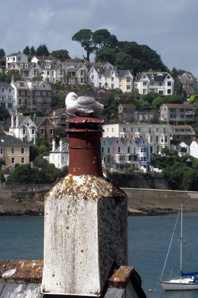 Byns härskare vilar på skorstenarna