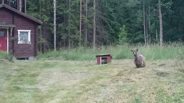 fb_img_1483201835685