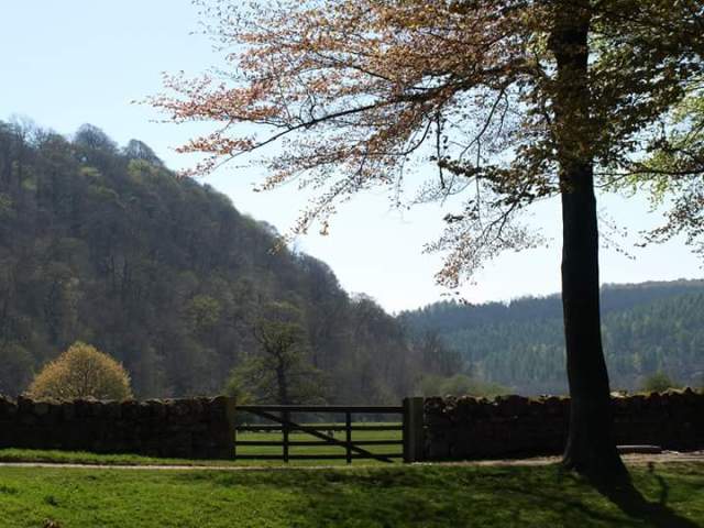 fb_img_1483202075915